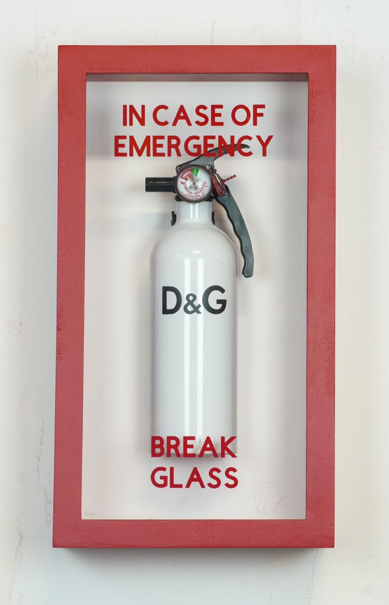 IN CASE OF EMERGENCY BREAK GLASS – D&G by Plastic Jesus