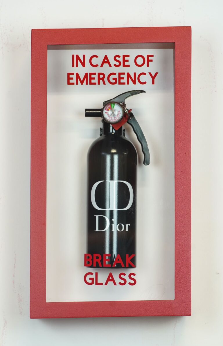 IN CASE OF EMERGENCY BREAK GLASS – DIOR by Plastic Jesus