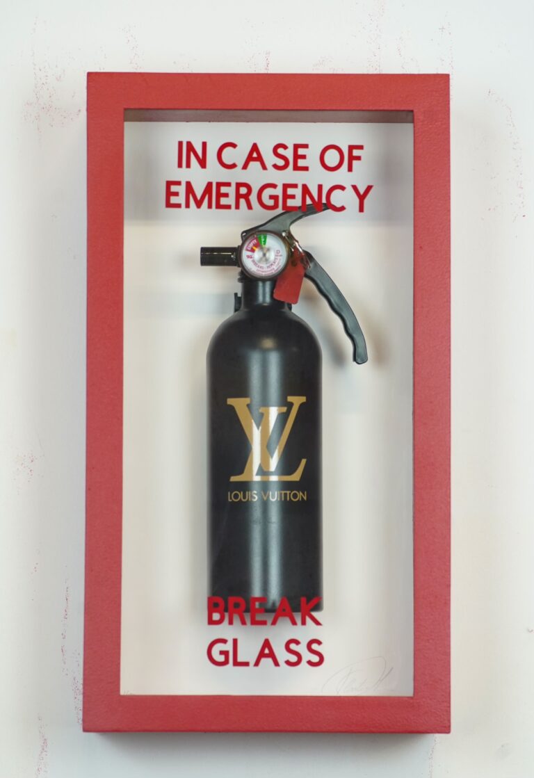 IN CASE OF EMERGENCY BREAK GLASS LOUIS VUITTON-plasticj