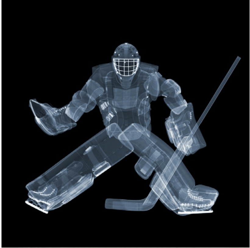 Ice Hockey Goalie